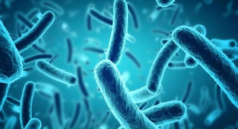 «Υπερβακτήρια», ανθεκτικά σε αντιβιοτικά απειλούν την ανθρωπότητα! Ποια είναι